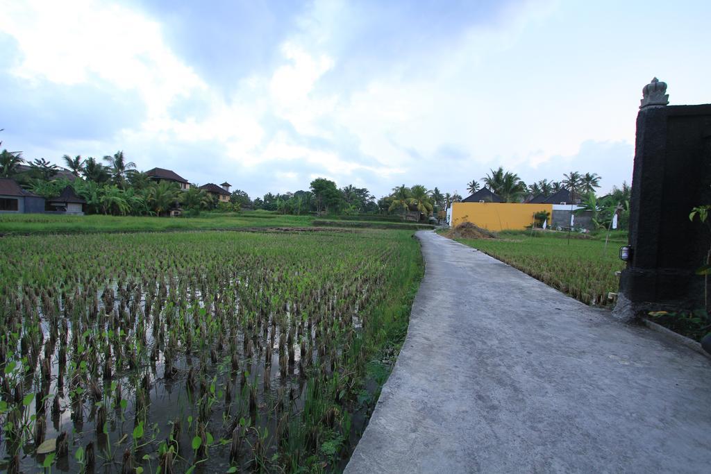 Pondok Buda Merta Ubud Exterior foto